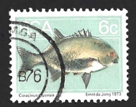 1974 SOUTH AFRICA FLORA AND FAUNA
