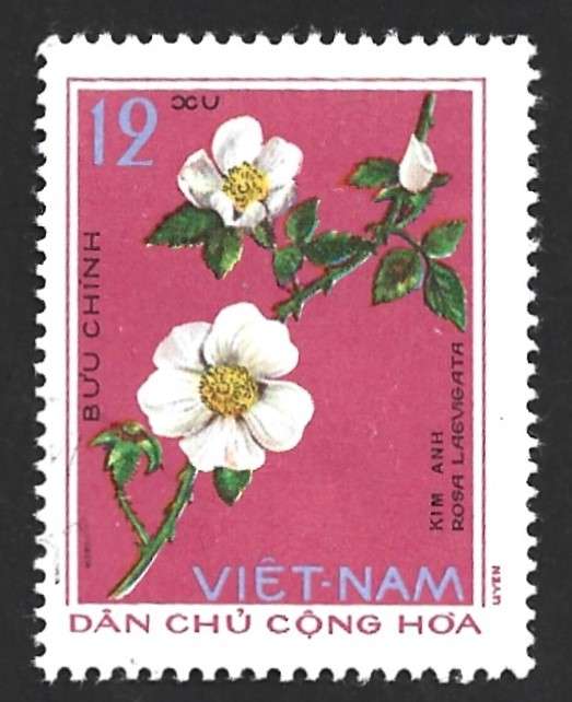 1975 VIETNAM MEDICINAL PLANTS
