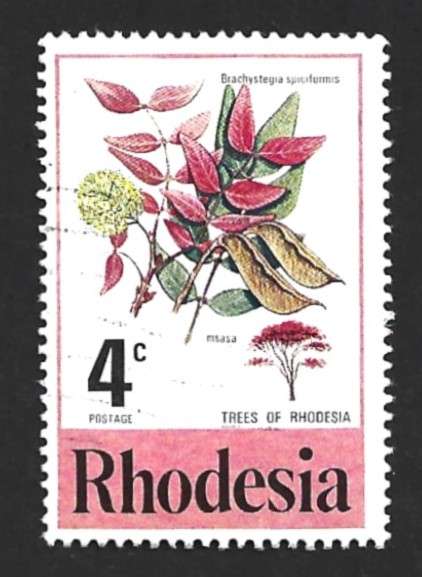 1976 RHODESIA FLOWERING TREE