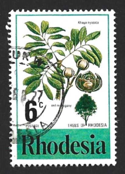 1976 RHODESIA FLOWERING TREE