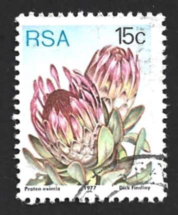 1977 SOUTH AFRICA FLORA, PROTEA PLANTS