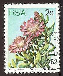 1977 SOUTH AFRICA FLORA, PROTEA PLANTS