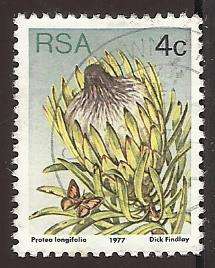 1977 SOUTH AFRICA FLORA, PROTEA PLANTS