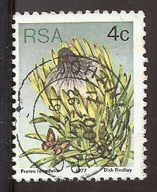1977 SOUTH AFRICA FLORA, PROTEA PLANTS