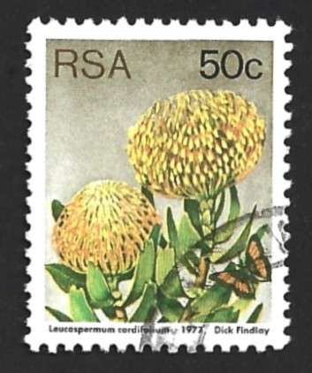 1977 SOUTH AFRICA FLORA, PROTEA PLANTS