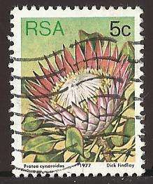 1977 SOUTH AFRICA FLORA, PROTEA PLANTS