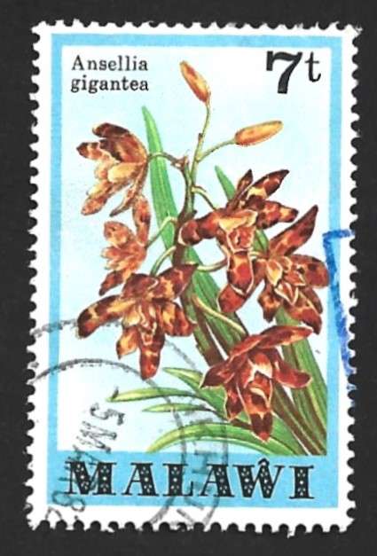 1979 MALAWI ORCHIDS