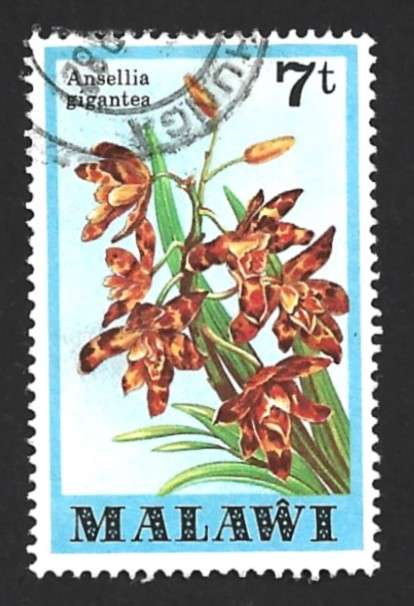 1979 MALAWI ORCHIDS