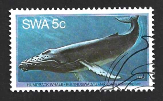 1980 SOUTH WEST AFRICA WHALES