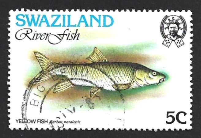 1980 SWAZILAND RIVER FISH