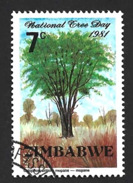 1981 ZIMBABWE NATIONAL TREE DAY