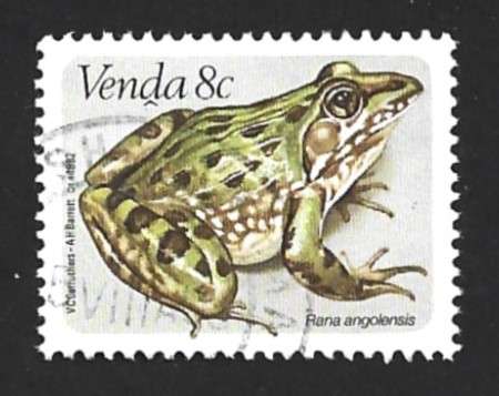 1982 VENDA ANIMAL FROG