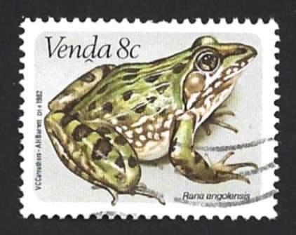 1982 VENDA ANIMAL FROG