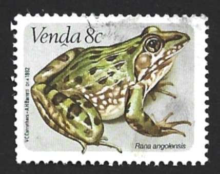 1982 VENDA ANIMAL FROG