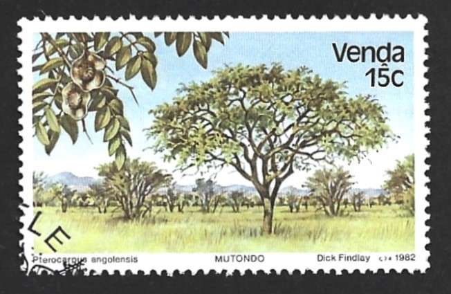 1982 VENDA TREES