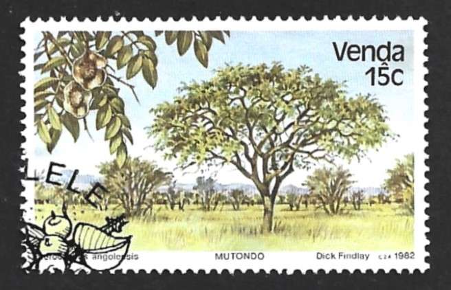 1982 VENDA TREES