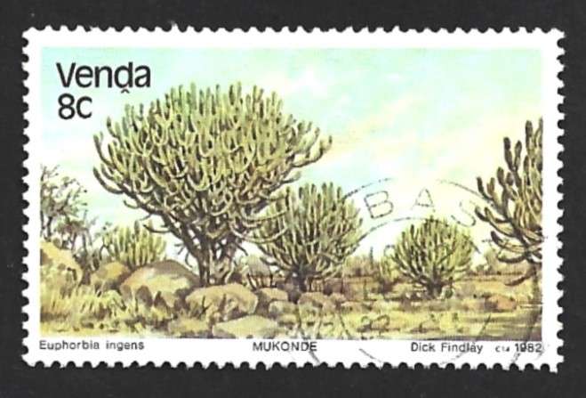 1982 VENDA TREES
