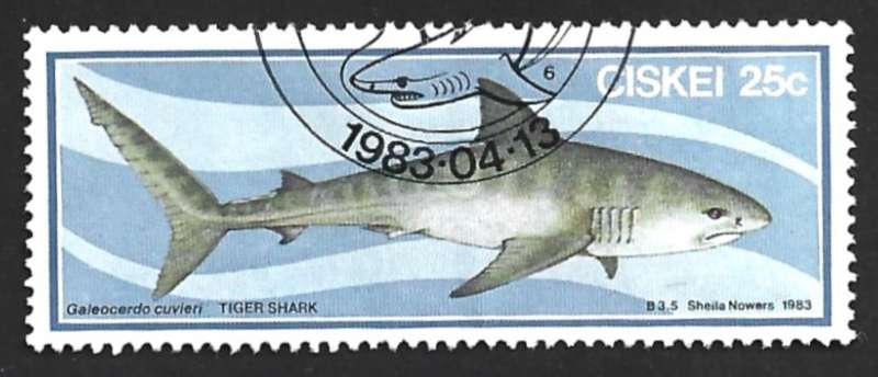 1983 CISKEI SHARK