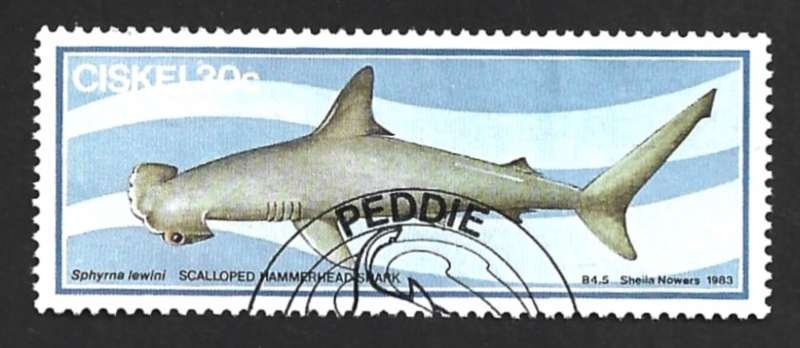 1983 CISKEI SHARK