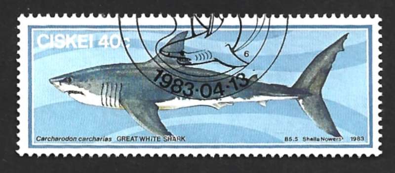 1983 CISKEI SHARK