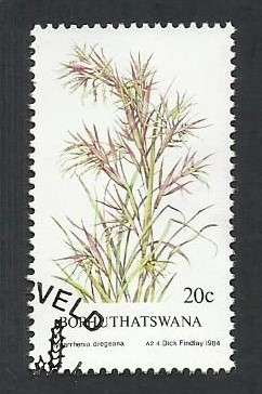 1984 BOPHUTHATSWANA INDIGENOUS GRASS