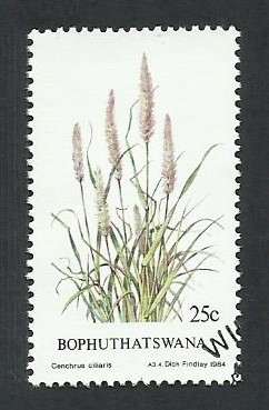 1984 BOPHUTHATSWANA INDIGENOUS GRASS