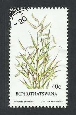 1984 BOPHUTHATSWANA INDIGENOUS GRASS