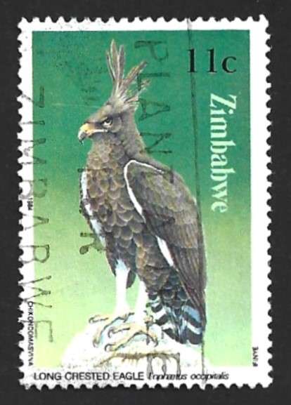 1984 ZIMBABWE BIRD OF PREY