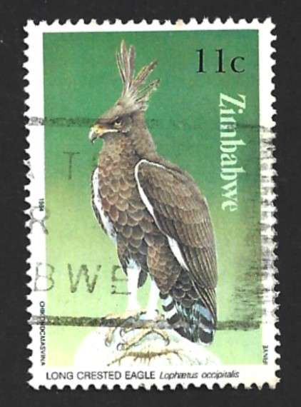 1984 ZIMBABWE BIRD OF PREY