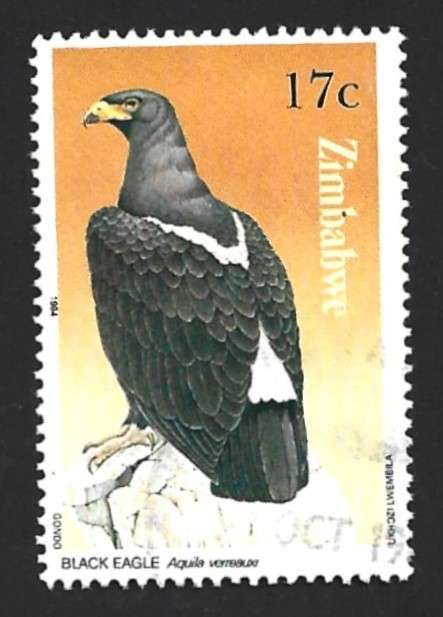 1984 ZIMBABWE BIRD OF PREY