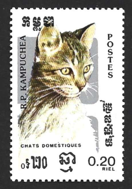1985 CAMBODIA CATS