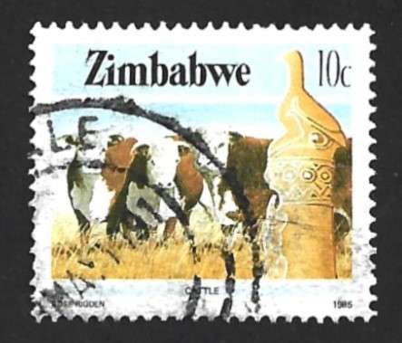 1985 ZIMBABWE NATIONAL INFRASTRUCTURE