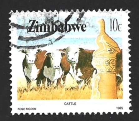 1985 ZIMBABWE NATIONAL INFRASTRUCTURE