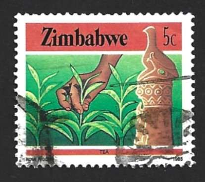 1985 ZIMBABWE NATIONAL INFRASTRUCTURE