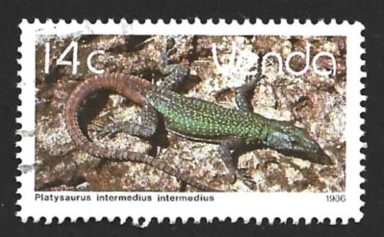1986 VENDA ANIMAL REPTILE