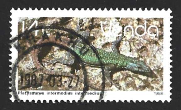 1986 VENDA ANIMAL REPTILE