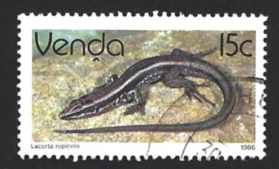 1986 VENDA ANIMAL REPTILE
