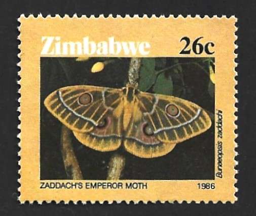 1986 ZIMBABWE MOTHS