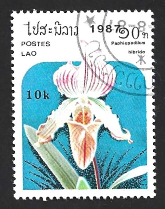 1987 LAOS ORCHIDS