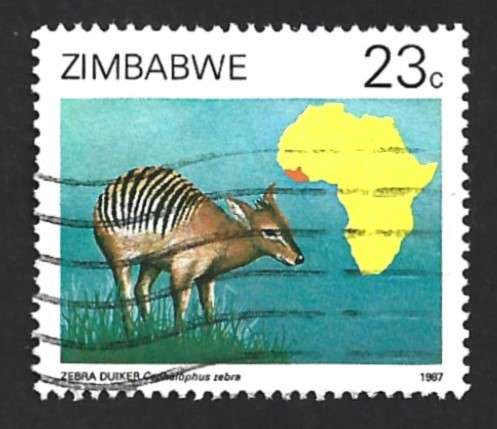 1987 ZIMBABWE DUIKERS OF AFRICA SURVEY