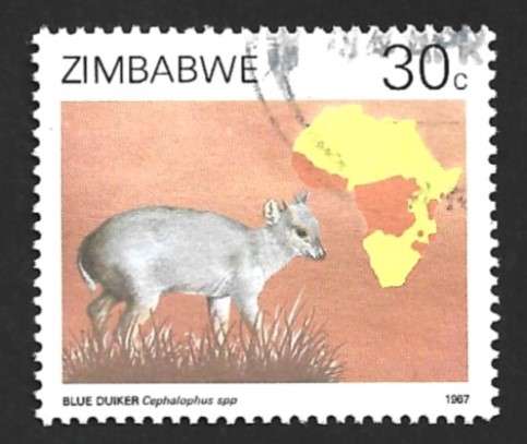 1987 ZIMBABWE DUIKERS OF AFRICA SURVEY
