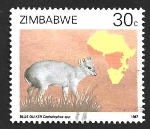 1987 ZIMBABWE DUIKERS OF AFRICA SURVEY