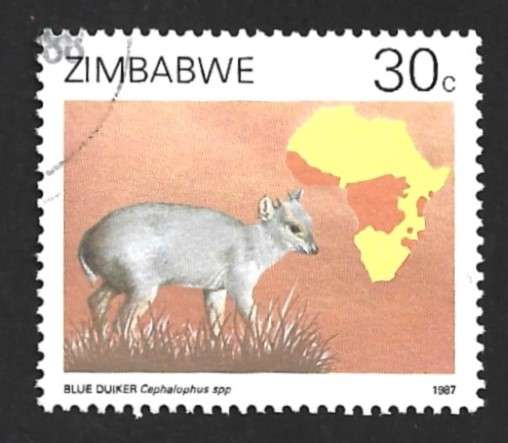 1987 ZIMBABWE DUIKERS OF AFRICA SURVEY