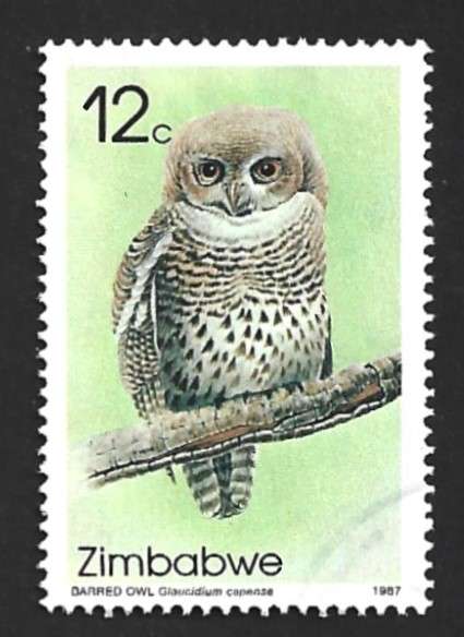 1987 ZIMBABWE OWLS