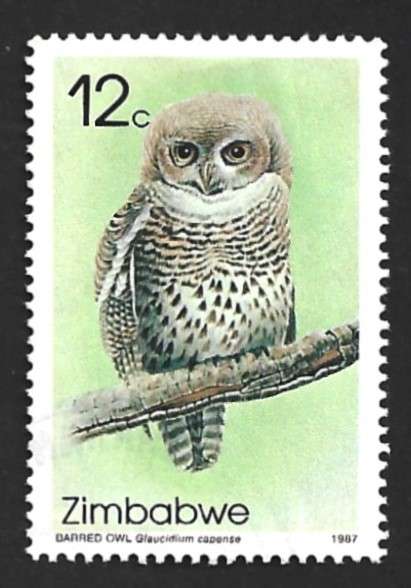 1987 ZIMBABWE OWLS