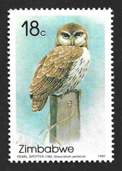 1987 ZIMBABWE OWLS