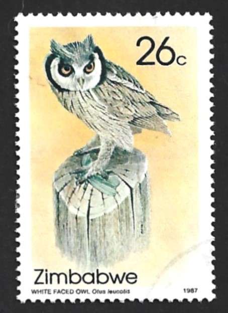 1987 ZIMBABWE OWLS