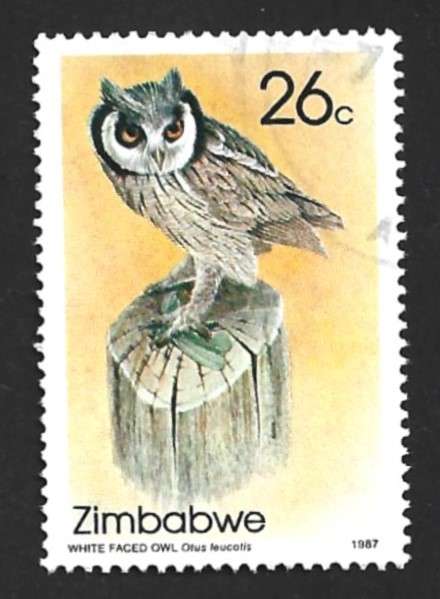 1987 ZIMBABWE OWLS