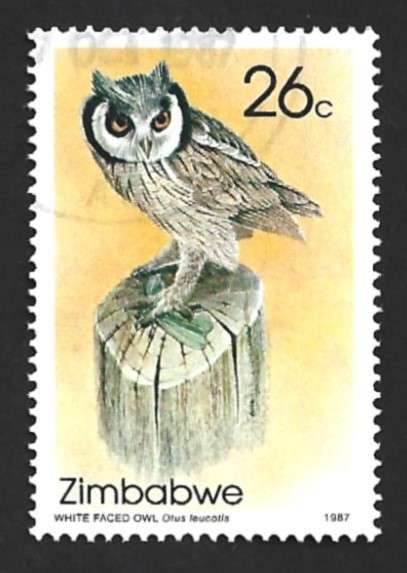 1987 ZIMBABWE OWLS