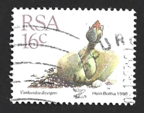 1988 SOUTH AFRICA SUCCULENTS